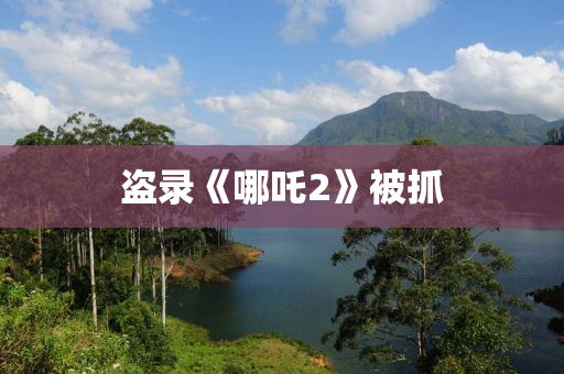 盗录《哪吒2》被抓