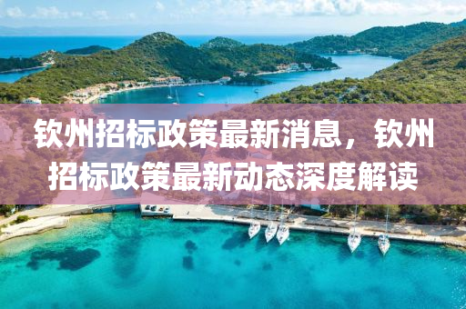 钦州招标政策最新消息，钦州招标政策最新动态深度解读