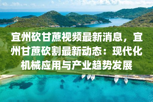 宜州砍甘蔗视频最新消息，宜州甘蔗砍割最新动态：现代化机械应用与产业趋势发展