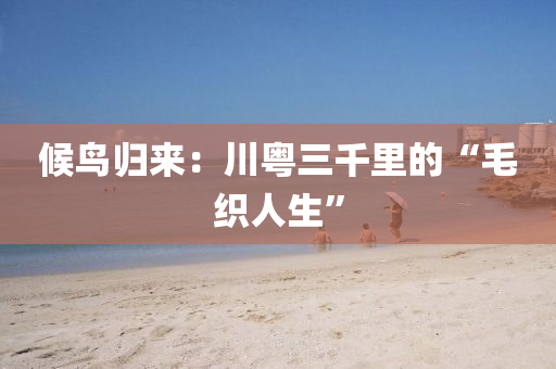 候鸟归来：川粤三千里的“毛织人生”