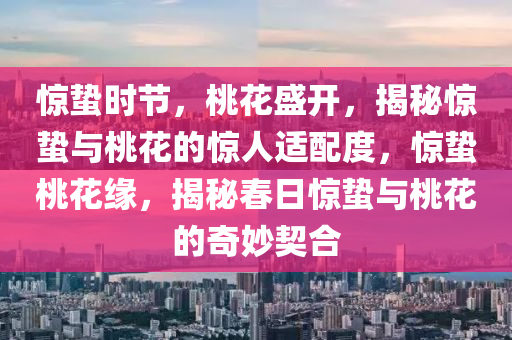 惊蛰时节，桃花盛开，揭秘惊蛰与桃花的惊人适配度，惊蛰桃花缘，揭秘春日惊蛰与桃花的奇妙契合