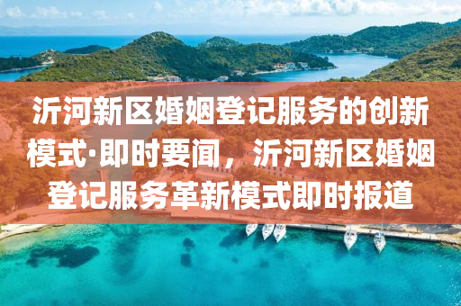 沂河新区婚姻登记服务的创新模式·即时要闻，沂河新区婚姻登记服务革新模式即时报道