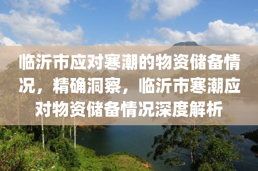 临沂市应对寒潮的物资储备情况，精确洞察，临沂市寒潮应对物资储备情况深度解析
