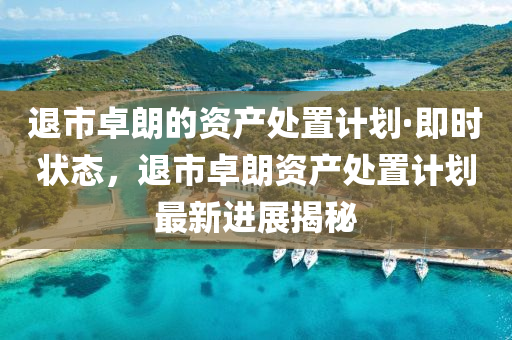 退市卓朗的资产处置计划·即时状态，退市卓朗资产处置计划最新进展揭秘