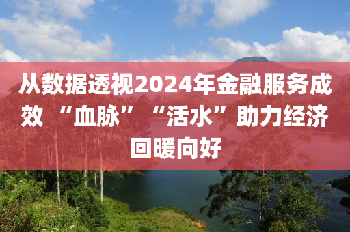 从数据透视2024年金融服务成效 “血脉”“活水”助力经济回暖向好