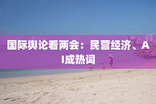 国际舆论看两会：民营经济、AI成热词