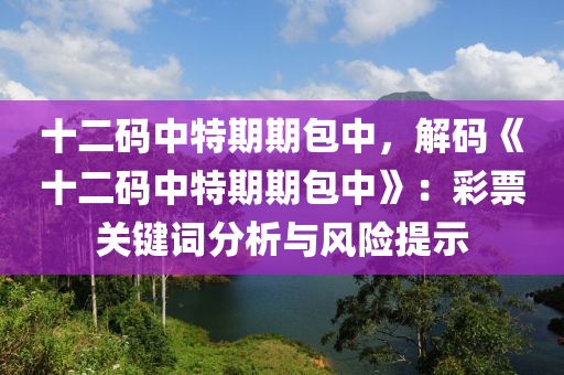十二码中特期期包中，解码《十二码中特期期包中》：彩票关键词分析与风险提示