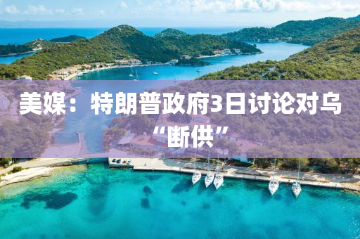 美媒：特朗普政府3日讨论对乌“断供”