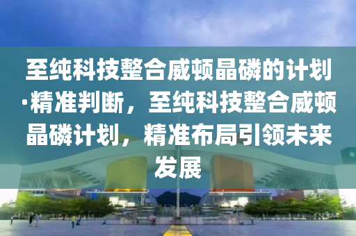 至纯科技整合威顿晶磷的计划·精准判断，至纯科技整合威顿晶磷计划，精准布局引领未来发展