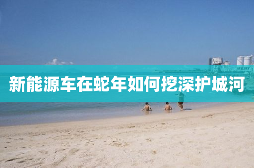 新能源车在蛇年如何挖深护城河