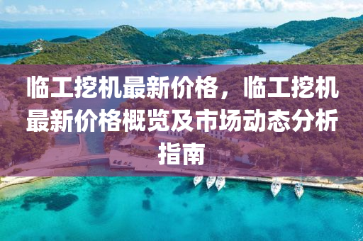 临工挖机最新价格，临工挖机最新价格概览及市场动态分析指南
