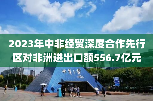 2023年中非经贸深度合作先行区对非洲进出口额556.7亿元