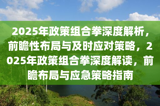 2025年政策组合拳深度解析，前瞻性布局与及时应对策略，2025年政策组合拳深度解读，前瞻布局与应急策略指南