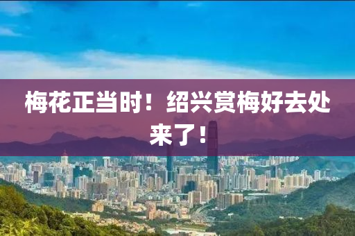 2025年3月6日 第7页