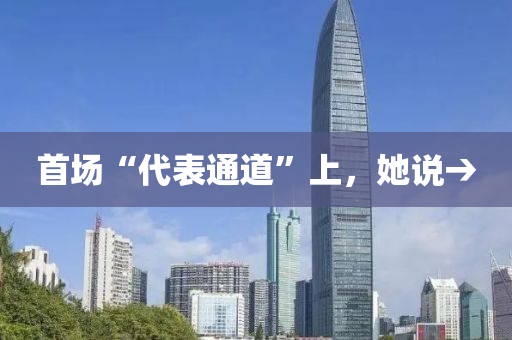 首场“代表通道”上，她说→
