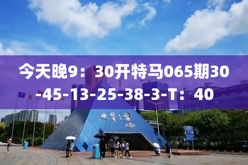 今天晚9：30开特马065期30-45-13-25-38-3-T：40