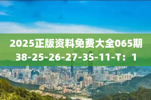 2025正版资料免费大全065期38-25-26-27-35-11-T：1