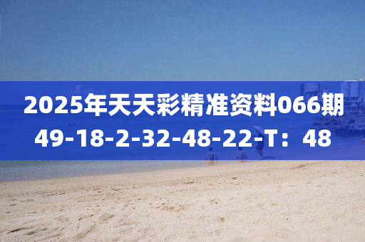 2025年天天彩精准资料066期49-18-2-32-48-22-T：48