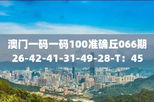 2025年3月7日 第101页