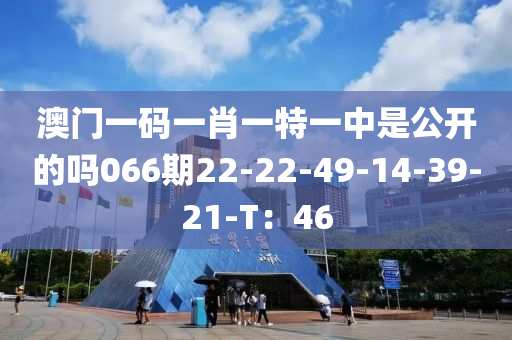 澳门一码一肖一特一中是公开的吗066期22-22-49-14-39-21-T：46