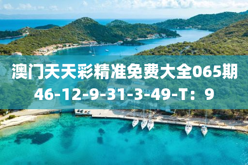 2025年3月7日 第117页