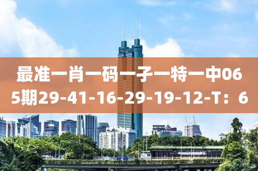 最准一肖一码一孑一特一中065期29-41-16-29-19-12-T：6