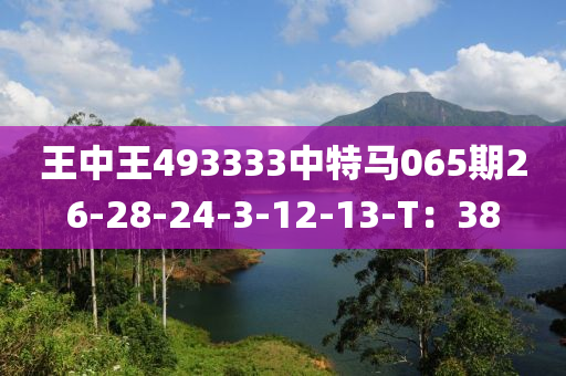 王中王493333中特马065期26-28-24-3-12-13-T：38