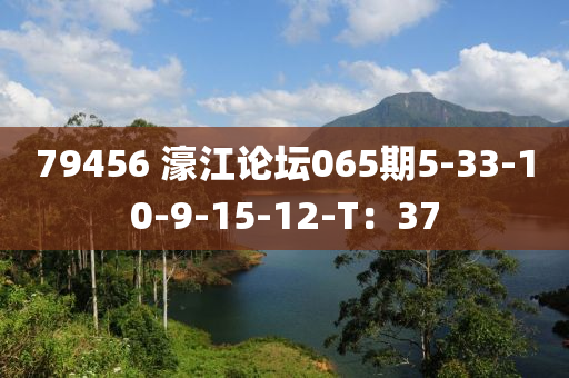 79456 濠江论坛065期5-33-10-9-15-12-T：37
