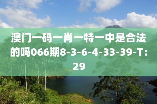 澳门一码一肖一特一中是合法的吗066期8-3-6-4-33-39-T：29