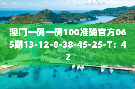 澳门一码一码100准确官方065期13-12-8-38-45-25-T：42