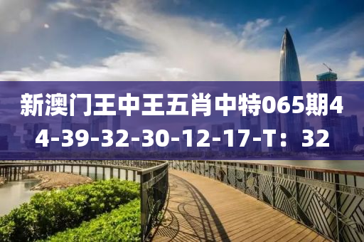 新澳门王中王五肖中特065期44-39-32-30-12-17-T：32