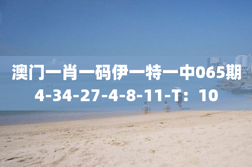 澳门一肖一码伊一特一中065期4-34-27-4-8-11-T：10