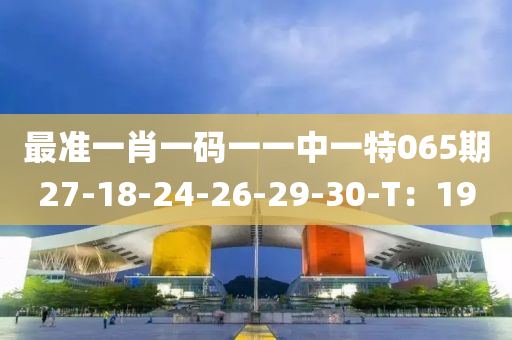 最准一肖一码一一中一特065期27-18-24-26-29-30-T：19