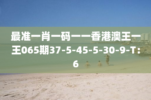 最准一肖一码一一香港澳王一王065期37-5-45-5-30-9-T：6