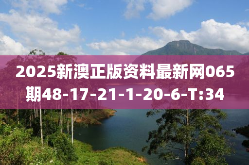 2025新澳正版资料最新网065期48-17-21-1-20-6-T:34