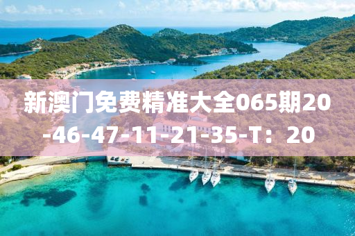 新澳门免费精准大全065期20-46-47-11-21-35-T：20