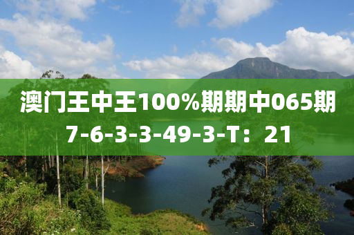 澳门王中王100%期期中065期7-6-3-3-49-3-T：21