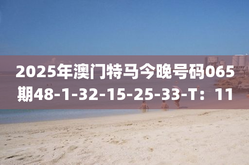 2025年3月7日 第93页