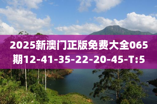 2025新澳门正版免费大全065期12-41-35-22-20-45-T:5