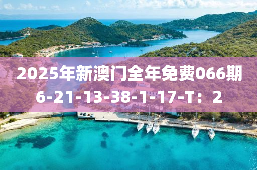 2025年新澳门全年免费066期6-21-13-38-1-17-T：2