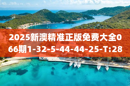 2025新澳精准正版免费大全066期1-32-5-44-44-25-T:28