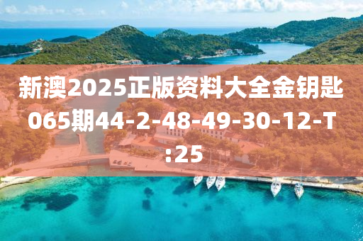 新澳2025正版资料大全金钥匙065期44-2-48-49-30-12-T:25