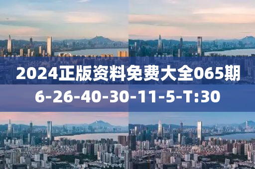 2024正版资料免费大全065期6-26-40-30-11-5-T:30