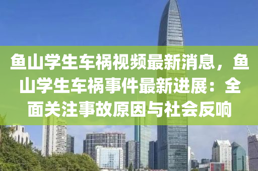 鱼山学生车祸视频最新消息，鱼山学生车祸事件最新进展：全面关注事故原因与社会反响