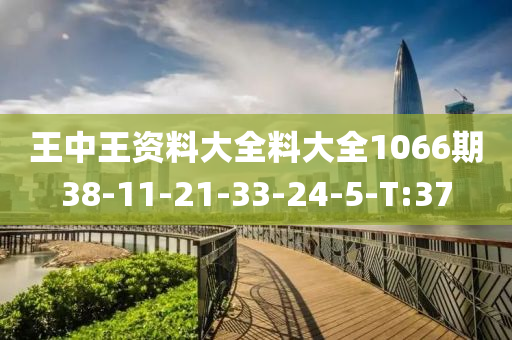 王中王资料大全料大全1066期38-11-21-33-24-5-T:37