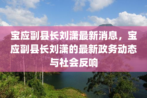 宝应副县长刘潇最新消息，宝应副县长刘潇的最新政务动态与社会反响