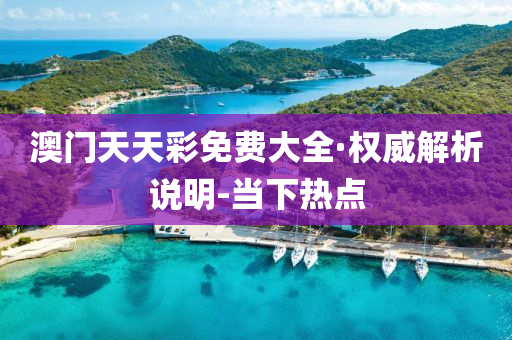 澳门天天彩免费大全·权威解析说明-当下热点