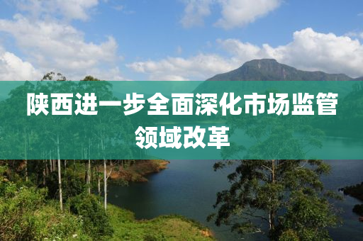 陕西进一步全面深化市场监管领域改革