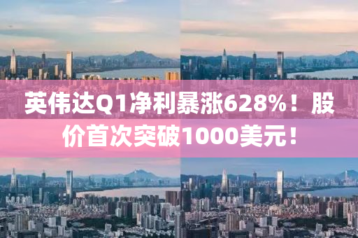 英伟达Q1净利暴涨628%！股价首次突破1000美元！