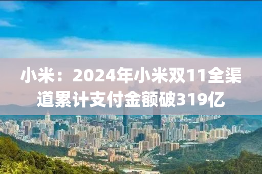 小米：2024年小米双11全渠道累计支付金额破319亿
